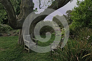 Two empty wooden chairs facing each other under a thick tree