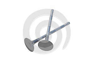 Two engine valves isolated on white background.