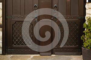 Two equal antique doors, concept - make your choice