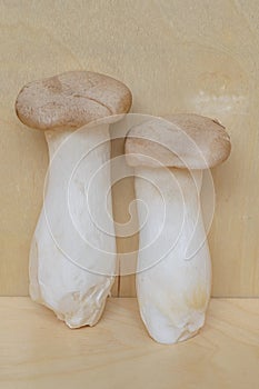 Two Eringi mushrooms