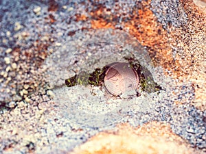 Two Euro cent coin in sandstone rock. Tossed coin