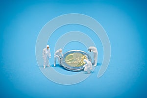 Two euro coins being inspected by specialist photo