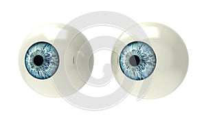 Two Eyeballs on white