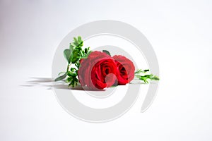 Two fake red roses made of plastic and cloth