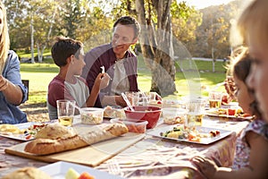 Two families having a picnic at a table in a park, close up