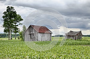 Two Farm Sheds In Ohio photo