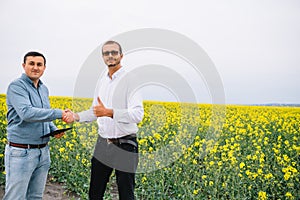 Two farmer standing in a rape field and looking at tablet, they are examining corp. Young handsome agronomist. Agribusiness