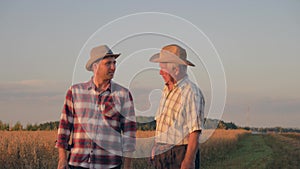 Two farmers at the field of crops communicate and agree