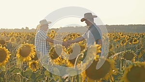 Two farmers in a field with sunflowers at sunset with a tablet
