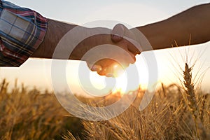 Two farmers shake hands against the background of a wheat field. Conclusion of a contract.