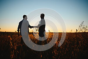 Two farmers shaking hands in soybean field.