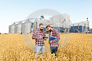 Two farmers stand in a wheat field with tablet. Agronomists discuss harvest and crops among ears of wheat with grain