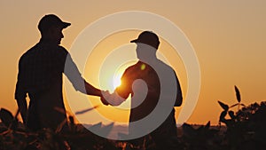 Two farmers talk on the field, then shake hands. Use a tablet