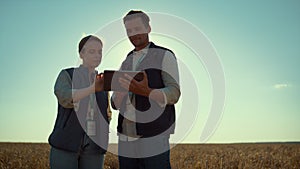 Two farmers work tablet computer in golden sunlight. Modern agritech industry.
