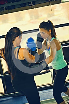 Two Female Boxers At Training photo