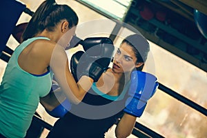 Two Female Boxers At Training photo