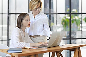 Two female collegues working with laptop and discussing new project.