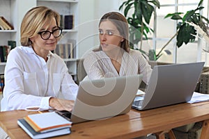 Two female collegues working with laptop and discussing new project photo