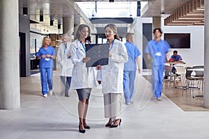 Two Female Doctors In White Coats Discussing Patient Scan In Busy Hospital