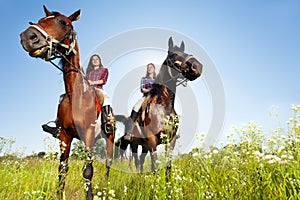 Two female equestrians with purebred brown horses