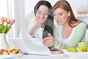 Two female friends at desk posing at home