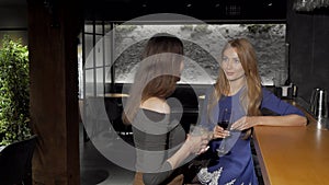 Two female friends having drinks at the bar together