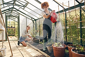 Two Female Friends Or Same Sex Couple Working In Greenhouse At Home Together