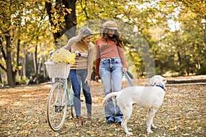 Two female friends walking in the autumn park with dog and bicycle