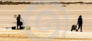 Two female shellfish gatherers walk along the beach shore to prepare to collect clams and mussels.