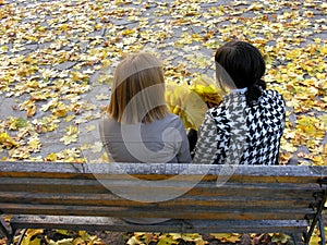 two female students resting in the autumn park