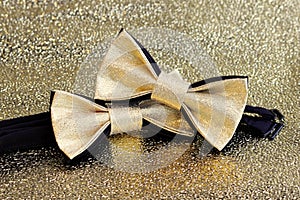 Two festive golden with a black bow tie on a gold background.