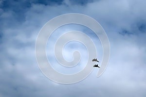 Planes fly in the sky