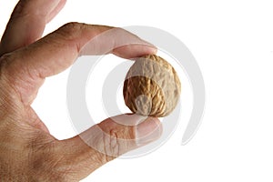 Two fingers of human hand holding a nut