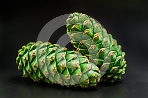 Two fir-cones on the black background