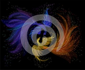 Two firebirds blue and fiery on a black background, vector illustration