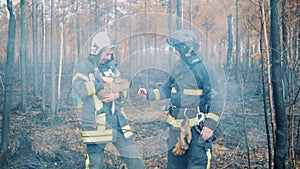 Two firemen are petting a rabbit in the forest