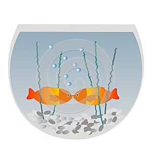 Two fish in an aquarium. Vector design.