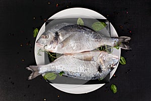 Two fish with fresh herbs on plate, top view.