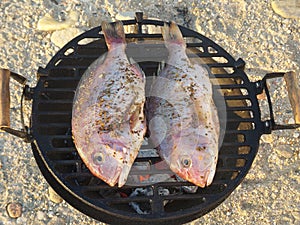 Two fish on grill. Outdoor cooking on a beach