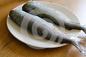 Two fish are on a plate in the kitchen