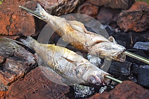 Two fish on skewers on  grill barbecue burning charcoal