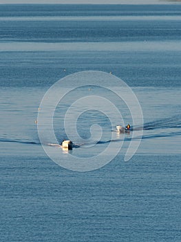 Two fishing boats in the summer morning near Rausu fishing port, Shiretoko, Hokkaido, Japan