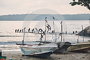 Two fishing boats at sunset. City of Halle, Sri Lanka