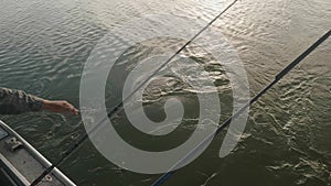 Two fishing rods over water. Fisherman tries to pull out big fish with third rod and them fight with fish.