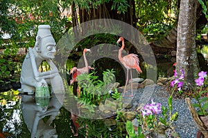 Two Flamingos in the caribbean