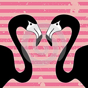 Two flamingos