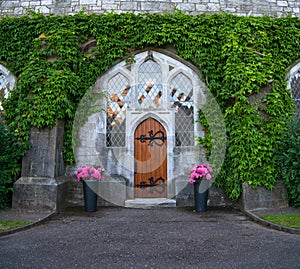 An entrance with a wooden door covered with ivy