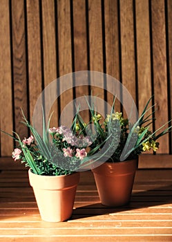 Two flower pots. photo