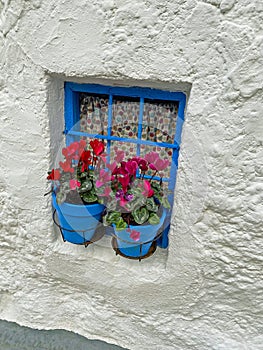 Two flower pots on the windowsill