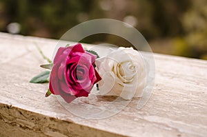 Two Flowers in Balcony